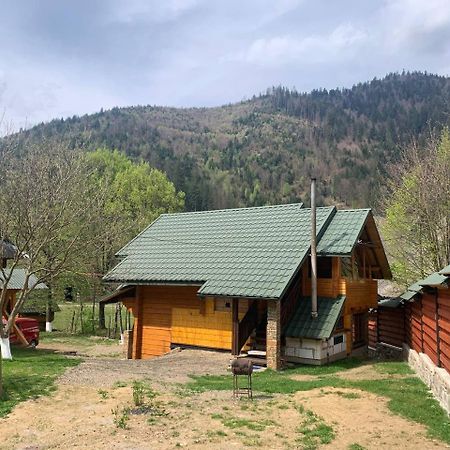 Еко Будинок В Горах Verkhnyaya Bystra Esterno foto