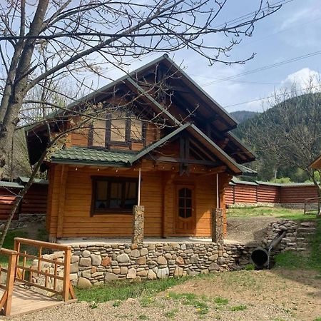 Еко Будинок В Горах Verkhnyaya Bystra Esterno foto